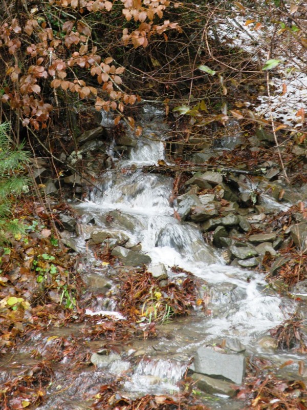 DSCN0053v.jpg