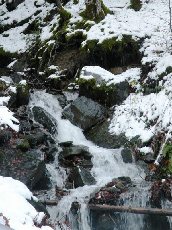 DSCN0069v.jpg