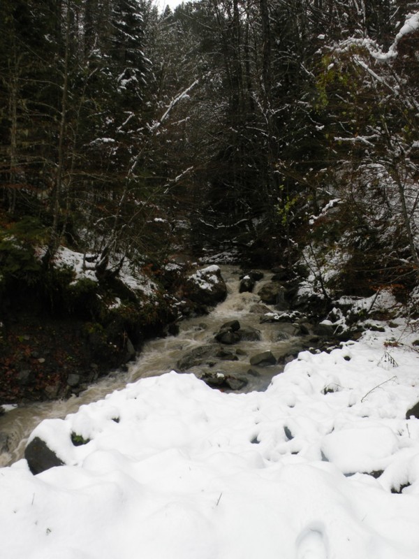 DSCN0075v.jpg