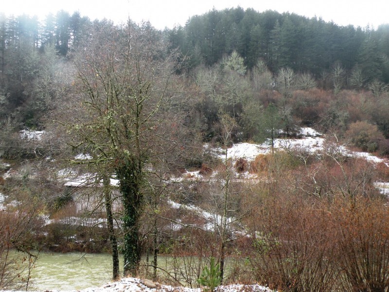 DSCN0078v.jpg