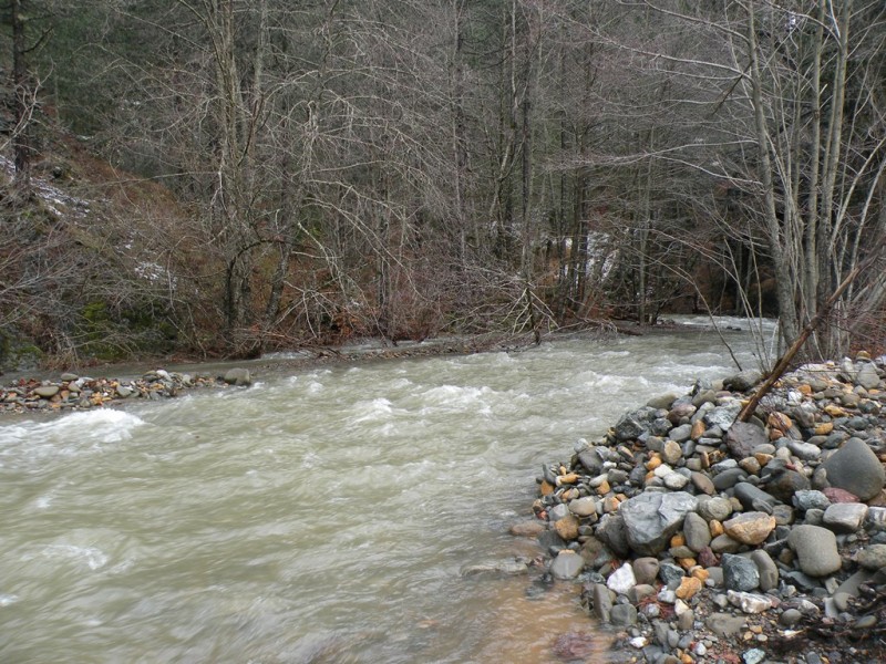 DSCN0085v.jpg