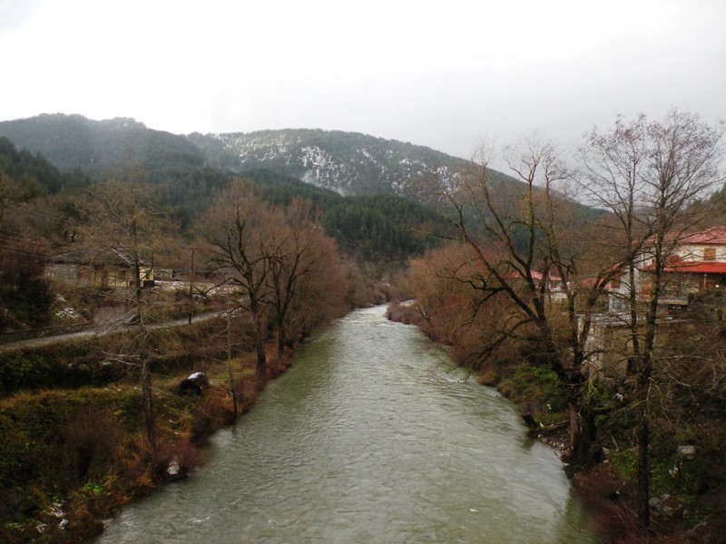 DSCN0104v.jpg