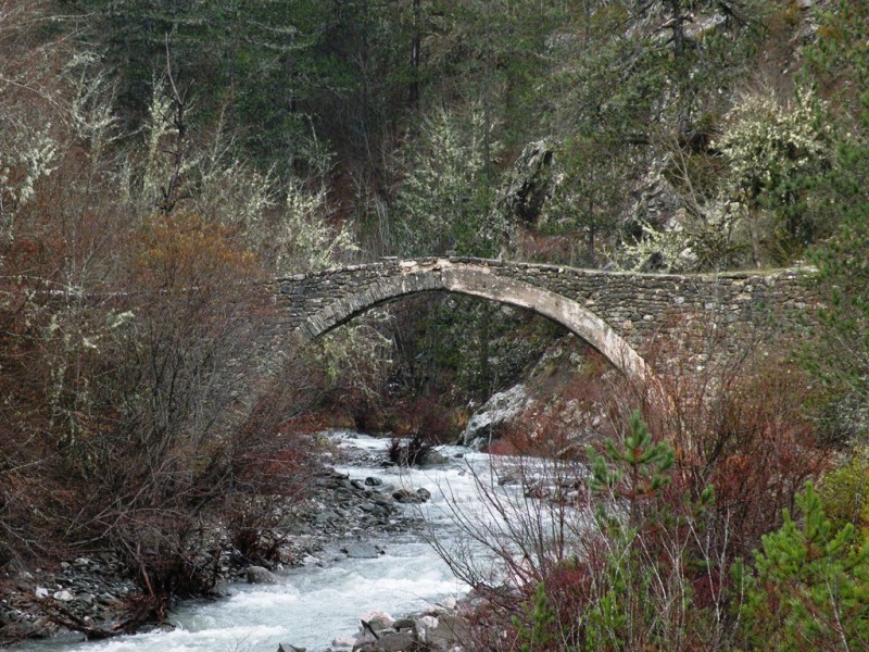 DSCN0112v.jpg