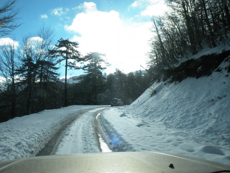 DSCN0146v.jpg