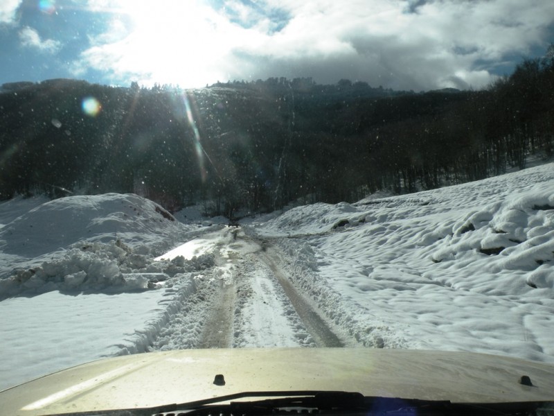 DSCN0148v.jpg