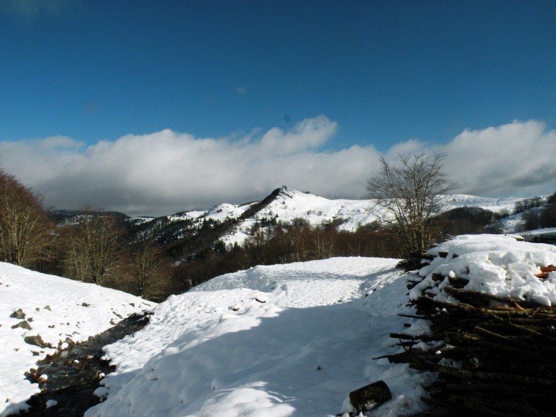 DSCN0150v.jpg