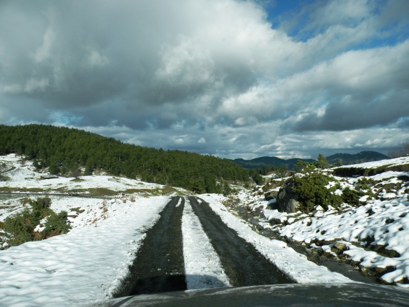 DSCN0165v.jpg