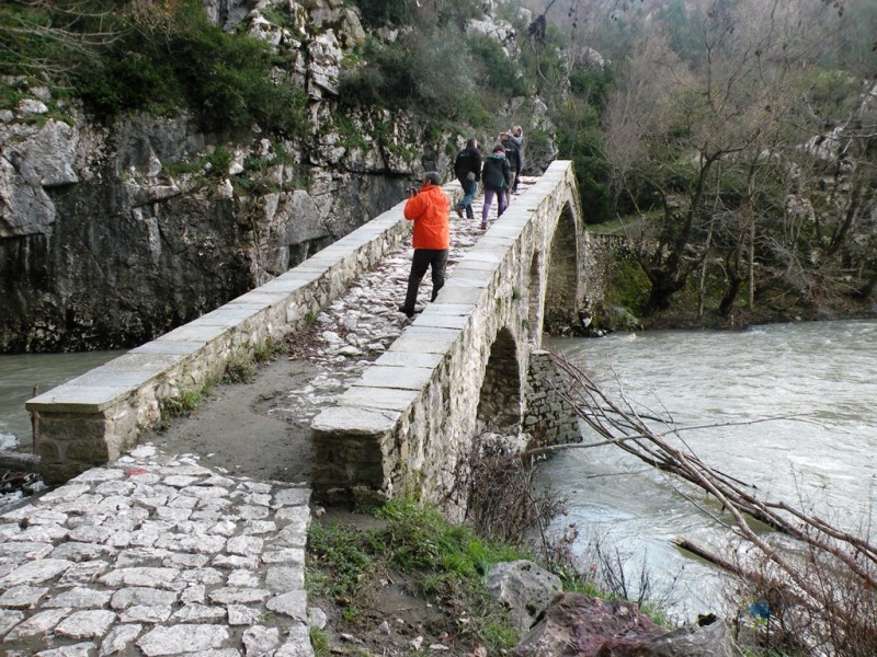 DSCN0177v.jpg