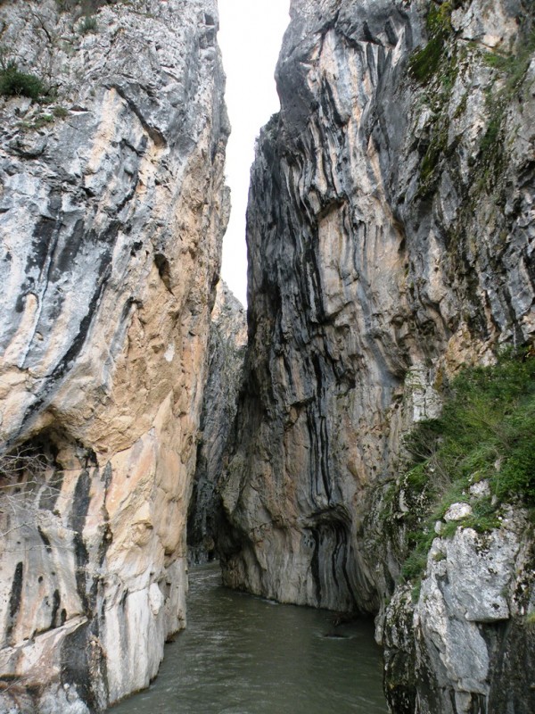 DSCN0181v.jpg