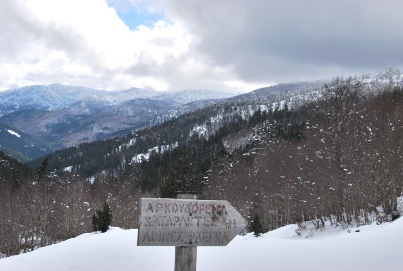 DSC_0579.jpg