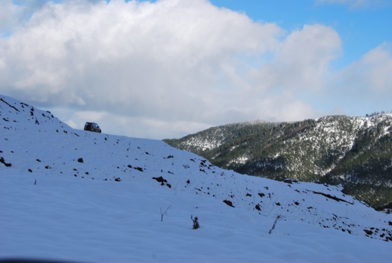 DSC_0595.jpg