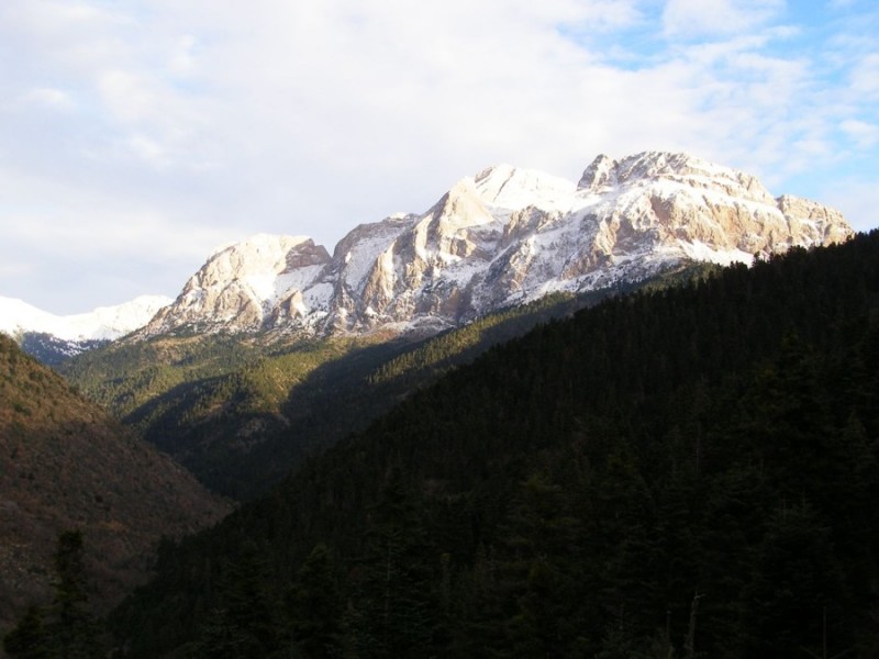 p21.jpg