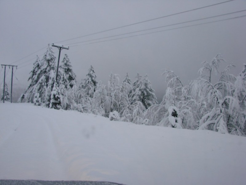DSC05407_renamed_30413.jpg