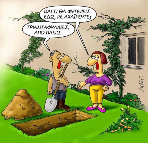 arkas1.jpg