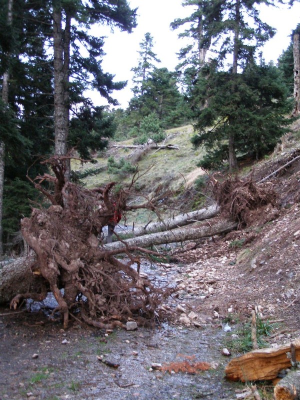 p25.jpg