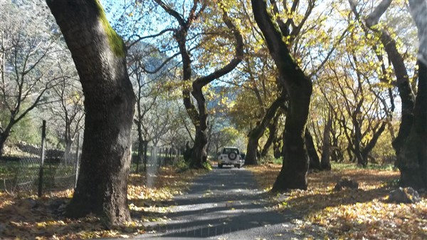 20151213_110811.jpg
