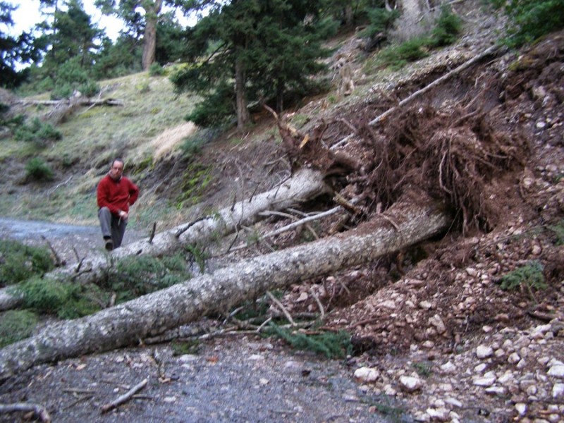 p26.jpg