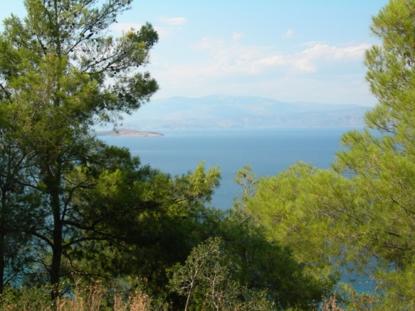 26-6-2010 093.jpg