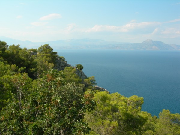 26-6-2010 100.jpg