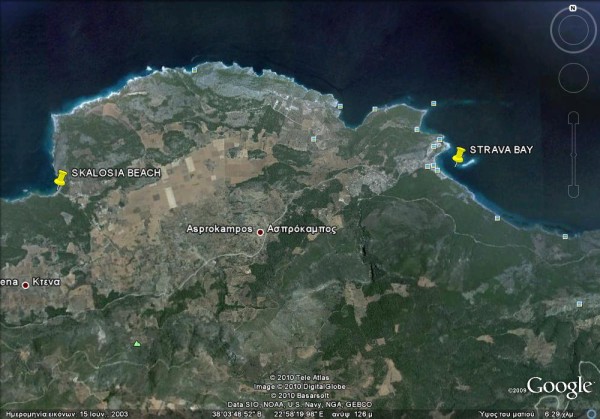 PARALIES (600 x 419).jpg