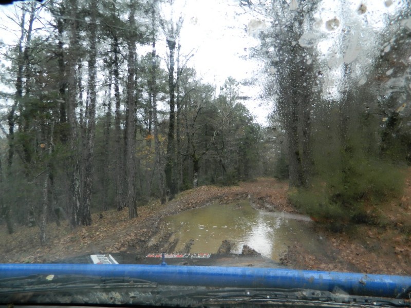 DSCN7387.jpg
