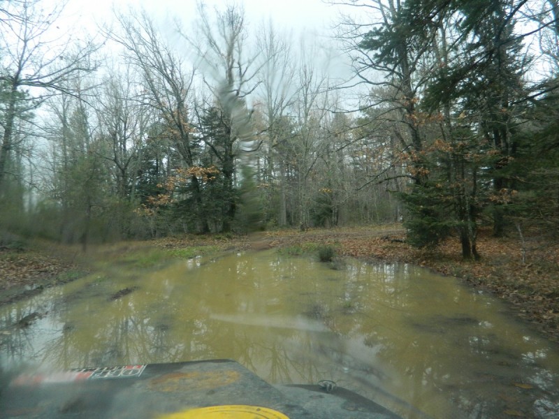 DSCN7391.jpg