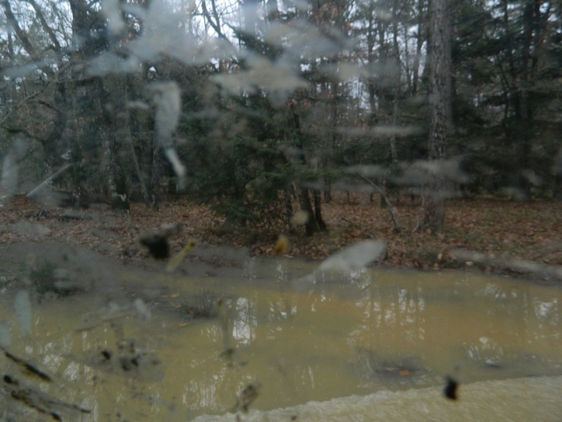 DSCN7392.jpg