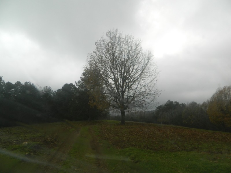 DSCN7393.jpg
