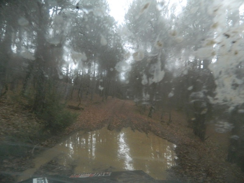 DSCN7395.jpg
