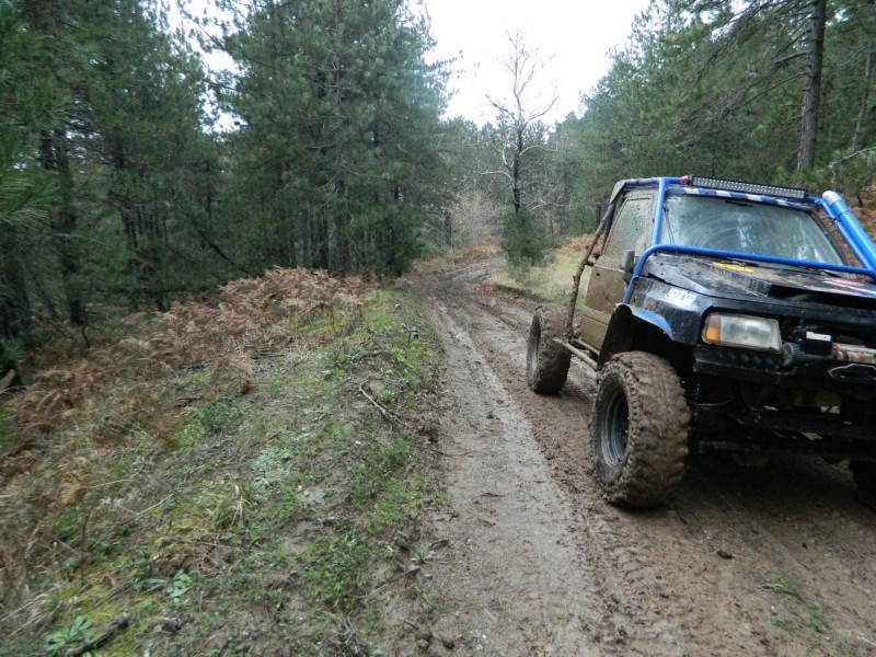 DSCN7396.jpg