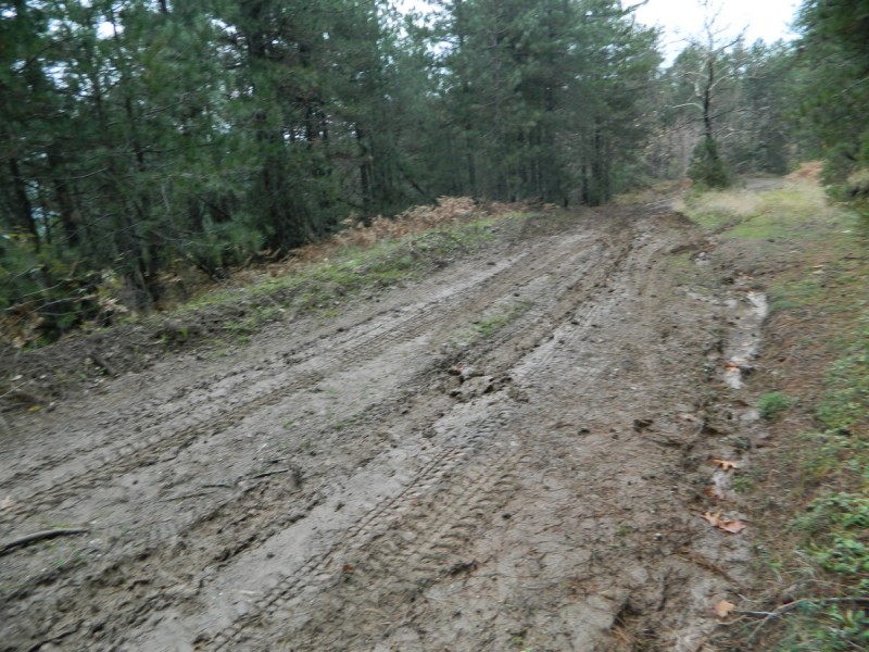 DSCN7402.jpg