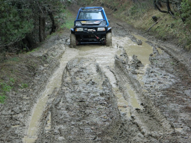 DSCN7405.jpg