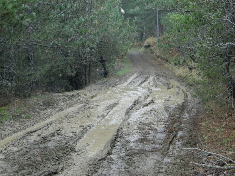 DSCN7407.jpg