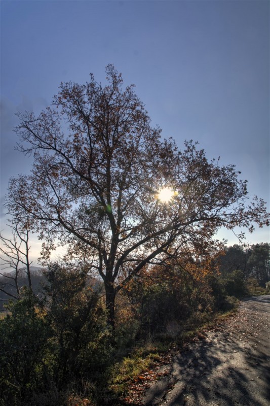 DSC09573_4_5_tonemapped.jpg