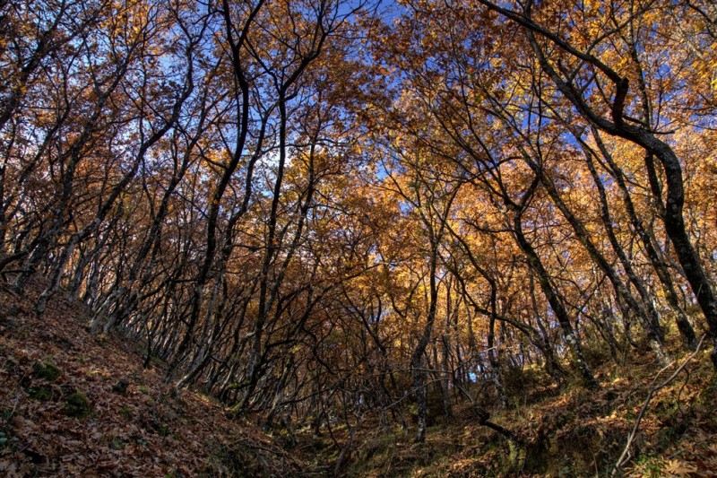 DSC09596_7_8_tonemapped.jpg