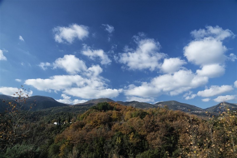 DSC09607.jpg