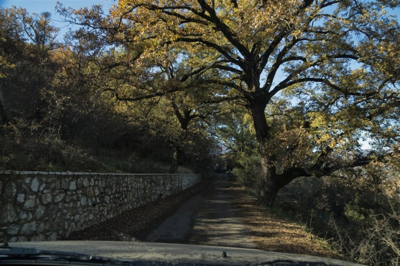 DSC00005.jpg