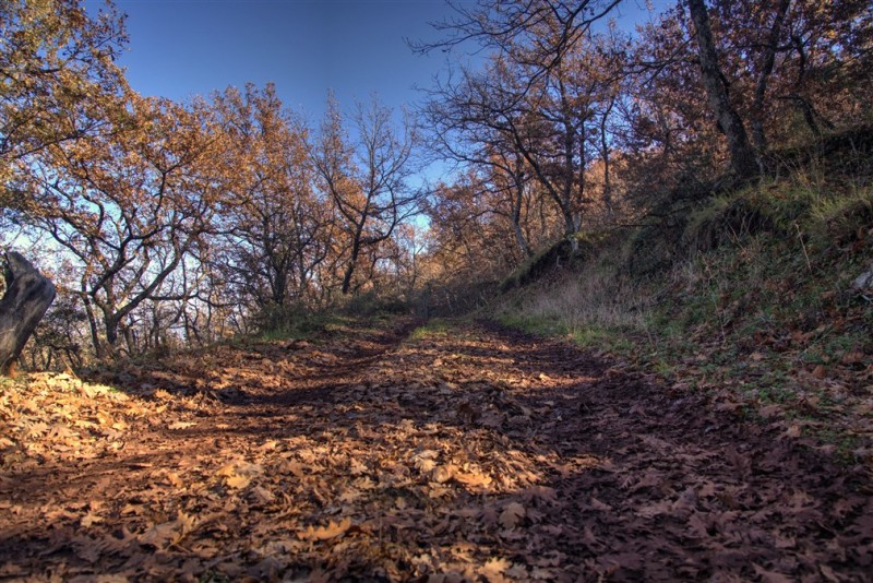 DSC00013_4_5_tonemapped.jpg