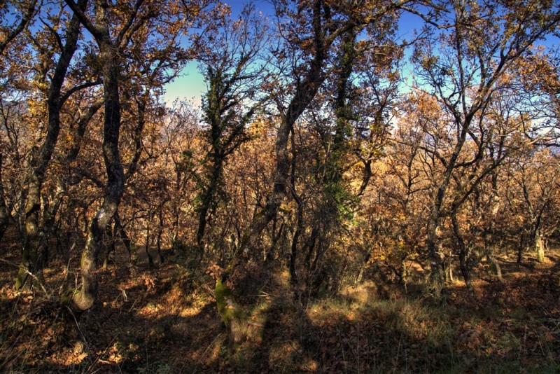DSC00016_7_8_tonemapped.jpg