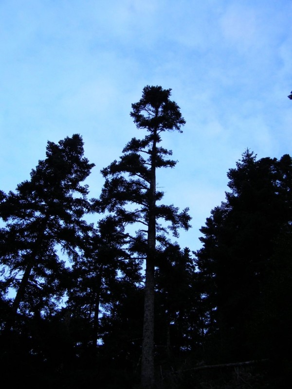 p27.jpg