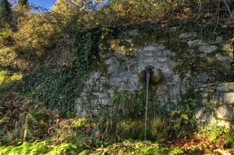 DSC09865_6_7_tonemapped.jpg