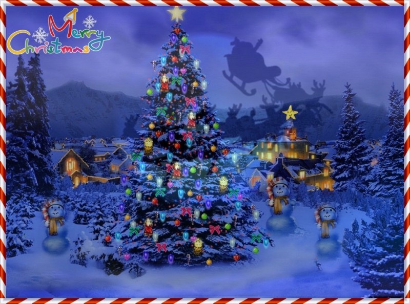 christmas-tree-nature1024-226431.jpg