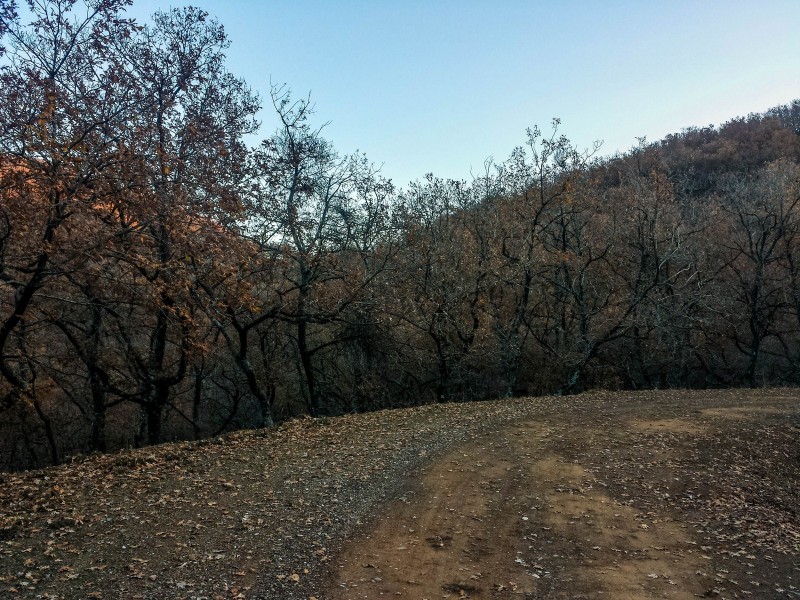 20151212_164111 (Αντιγραφή).jpg