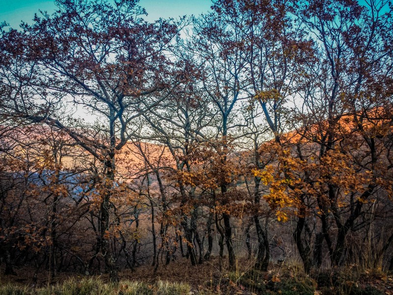 20151212_164115 (Αντιγραφή).jpg