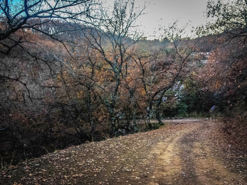 20151212_164144 (Αντιγραφή).jpg