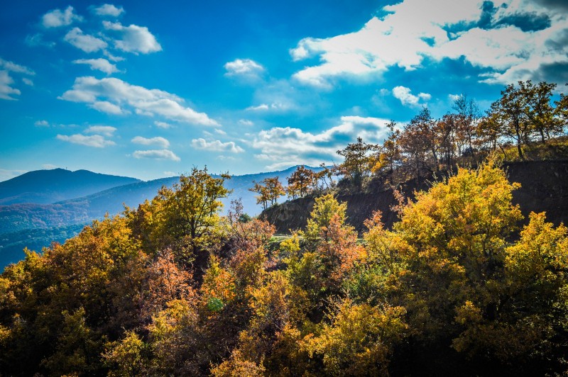 DSC_6866 (Αντιγραφή).jpg