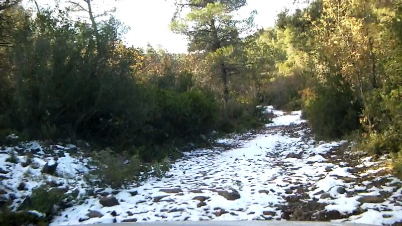 CI-9836353630492065.jpg