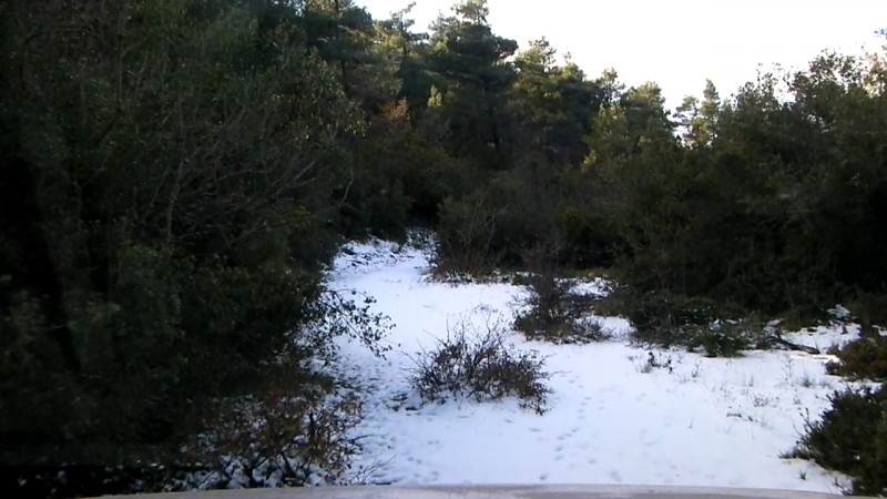 CI17867646430492066.jpg