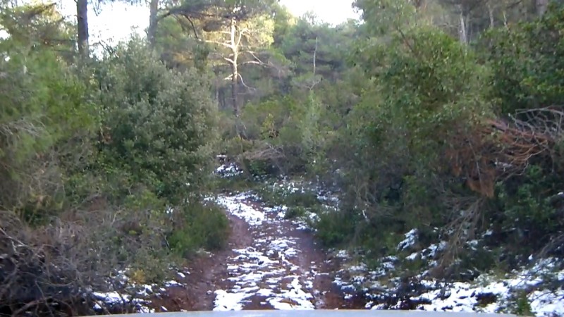 CI-79516353630492065.jpg