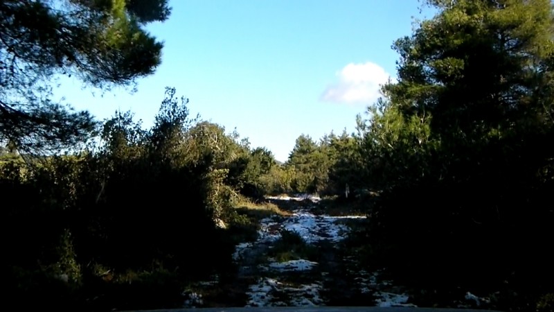CI81046376030492065.jpg